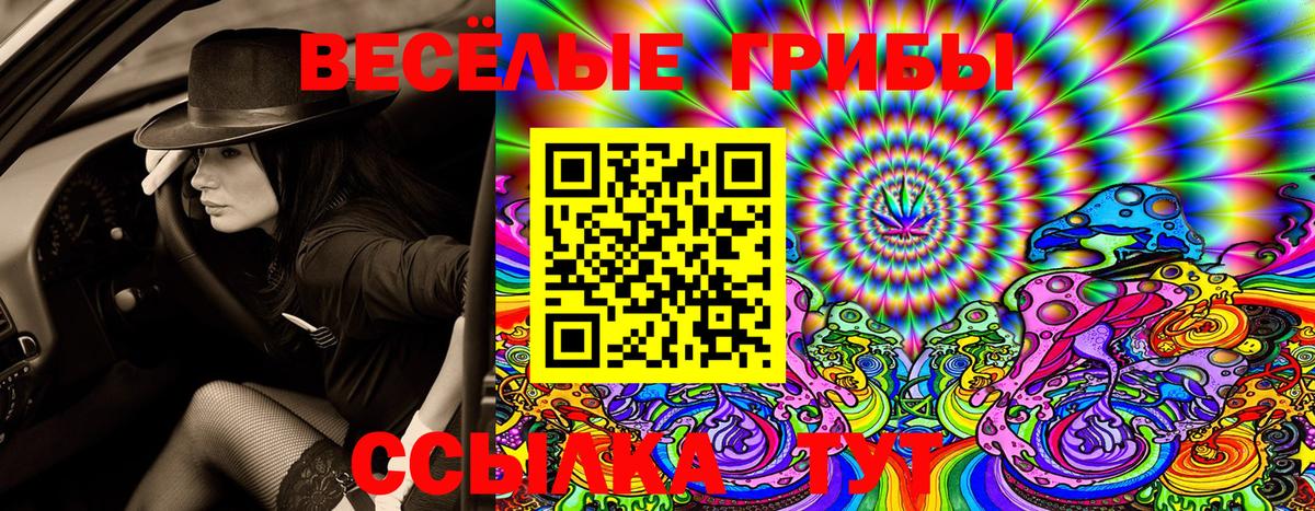 Псилоцибиновые грибы GOLDEN TEACHER Когалым